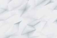 demo image 00002