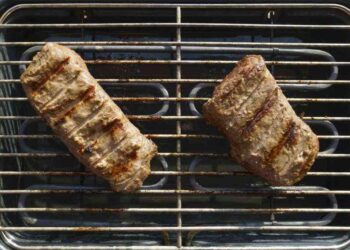 Najbolji električni roštilj: Top 5 modela prema iskrenim iskustvima korisnika [2025]