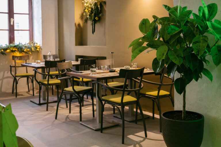 biomania bistro zagreb iskustva i recenzije visokokvalitetnog organskg bistroa