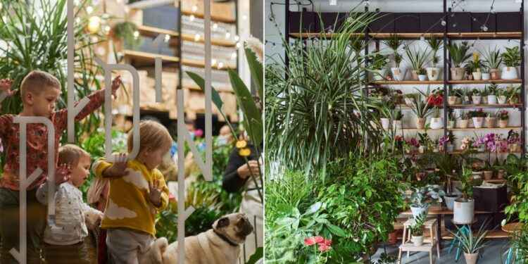 ĐARDIN RECENZIJE: SVE ŠTO TREBA ZNATI O OVOJ INOVATIVNOJ PLATFORMI 1 ĐARDIN RECENZIJE: SVE ŠTO TREBA ZNATI O OVOJ INOVATIVNOJ PLATFORMI