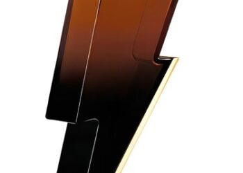 Bad Boy Elixir Carolina Herrera za muškarce: Detaljna analiza