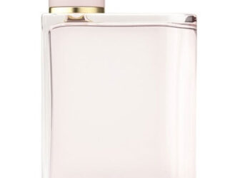 Burberry Her: Recenzija mirisa za žene – Je li vrijedan pažnje?