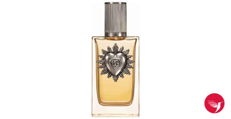 devotion pour homme parfum elegancija i snaga dolcegabbana