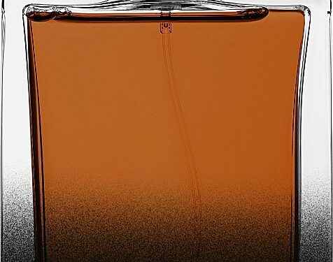 Dolce&Gabbana The One for Men Eau de Parfum