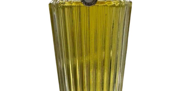 Eshal: Neela Vermeire Creations za žene i muškarce 1 Eshal: Neela Vermeire Creations za žene i muškarce