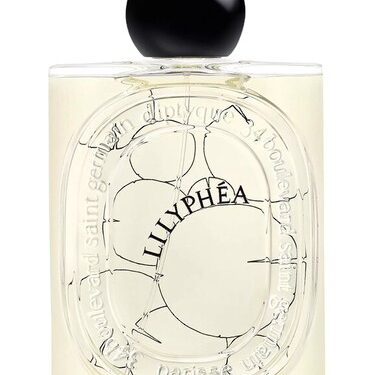 <h2>Otkrivanje Lilyphéa: Više od Parfema, Iskustvo</h2> 1 Otkrivanje Lilyphéa: Više od Parfema, Iskustvo