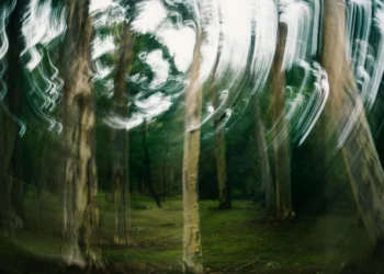 static photos 1772444034