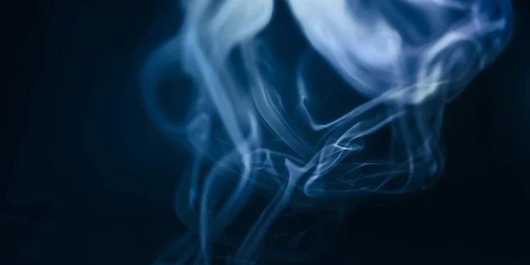 Restoran Uspinjača: Istraživanje ukusa Zagreba 1 static photos 1772444871