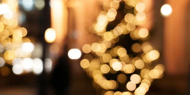 Zagrebačka kuhinja s međunarodnim dodacima 1 static photos 1772547722