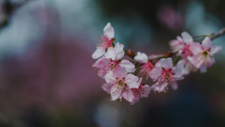 static photos 1772553987