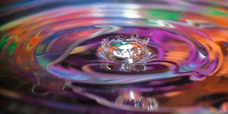 Fuentes: Izvanredno iskustvo u srcu Zagreba 1 static photos 1772560293