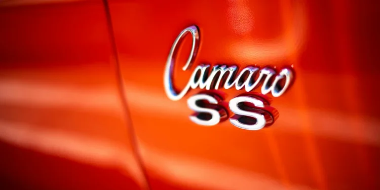 static photos 1772587087