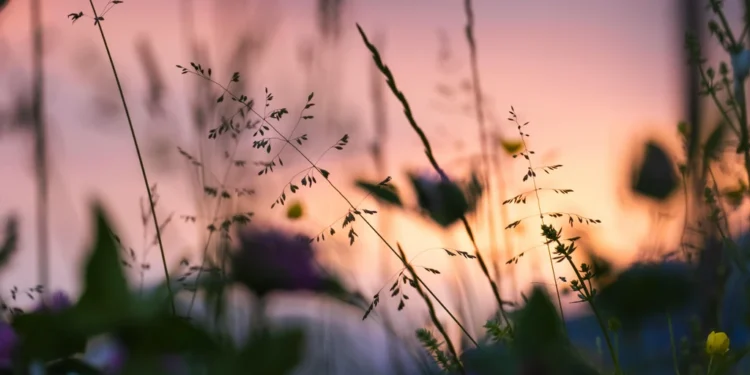 Pizzeria Capriccio: Zagrebovo kulinarsko blago 1 static photos 1772588117