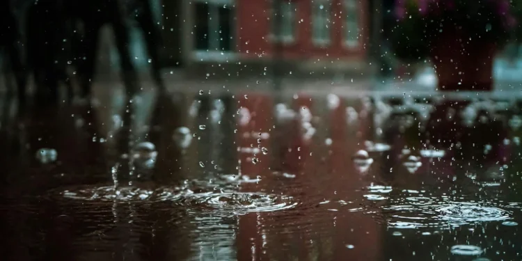 static photos 1772590912