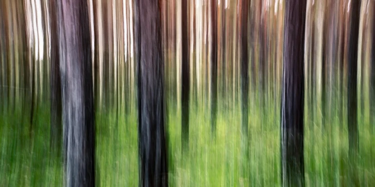 static photos 1772636432