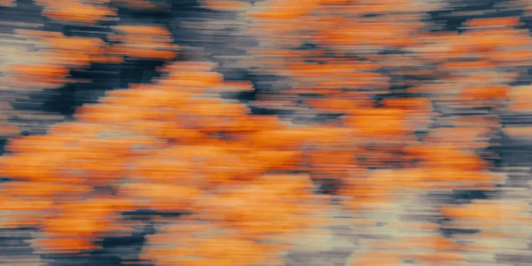 static photos 1772653741