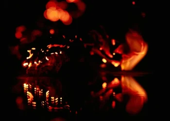 static photos 1772821642