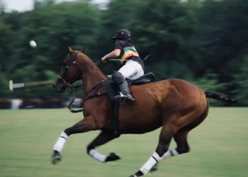 static photos 1773221742