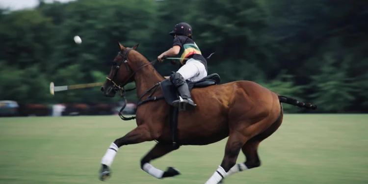 static photos 1773221742