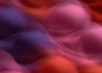 static photos 1773227170