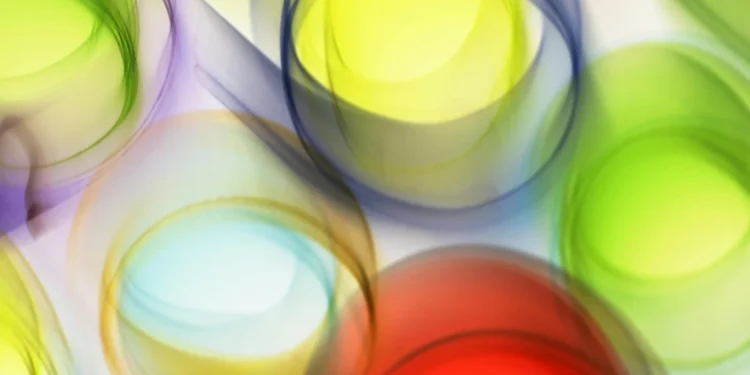 Nico's Bistro: Nova gastronomska adresa u gradu 1 static photos 1773318420