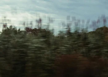 static photos 1773436519