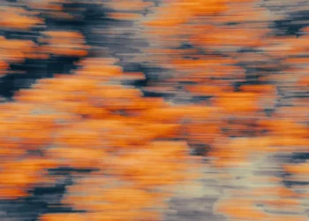 static photos 1773440142