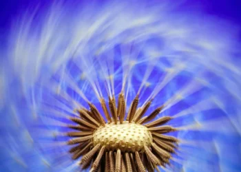 static photos 1774032544