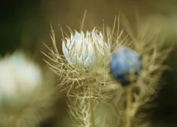 static photos 1774085016