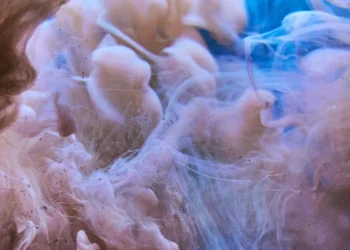 static photos 1774098312