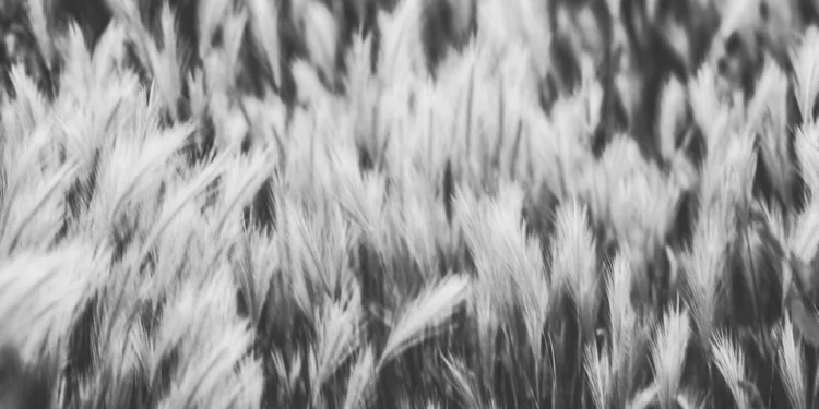 static photos 1774102524