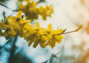 static photos 1774109591