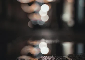 static photos 1774111636