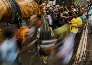 static photos 1774137584