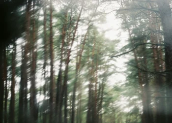 static photos 1774164701