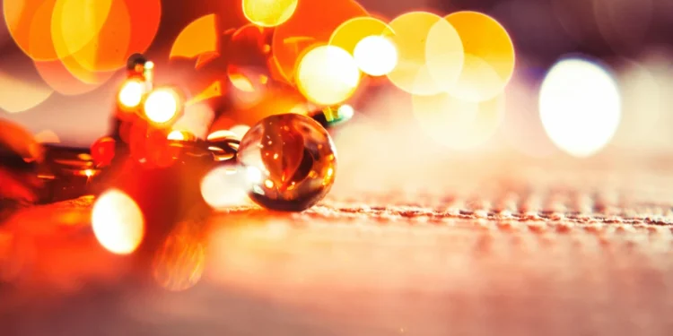 Platz, Zagreb: recenzija jednostavnog mjesta uz zagrebačku tržnicu 1 static photos 1774170531