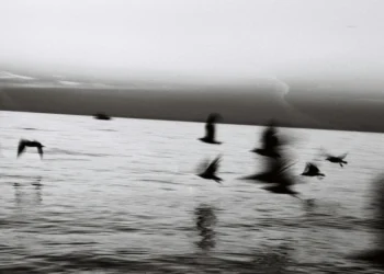 static photos 1774183187