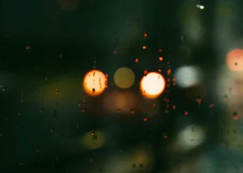 static photos 1774187505