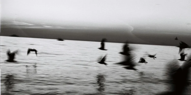 Asia Gold: Izvorni ukus istoka u srcu Zagreba 1 static photos 1774208533