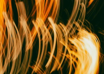 static photos 1774407072