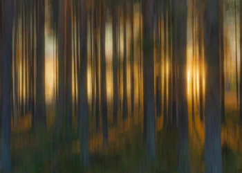 static photos 1774435904