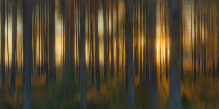 Magazinska klet: gastronomska avantura u srcu Zagreba 1 static photos 1774435904