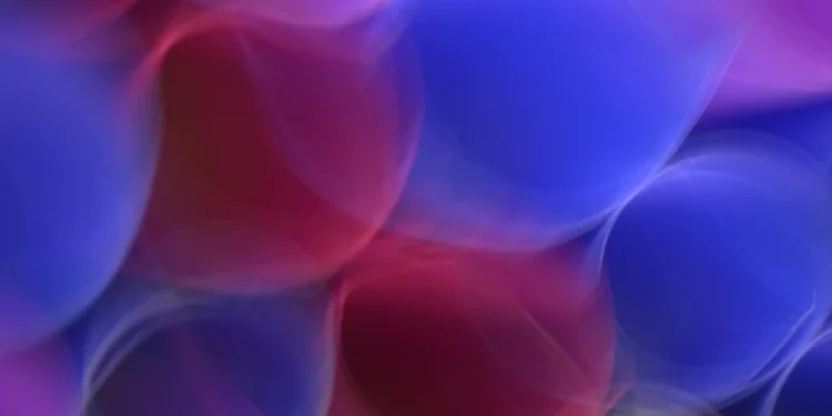 Restaurant Grofica – tradicionalna hrvatska kuhinja u srcu Zagreba 1 static photos 1774474212