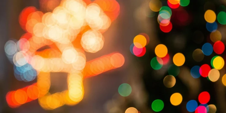 Pizzeria Lorca – autentična pizza u srcu Zagreba 1 static photos 1774475596