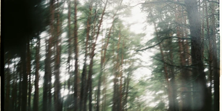 static photos 1774534647