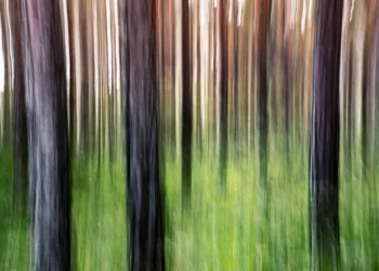 static photos 1774558740