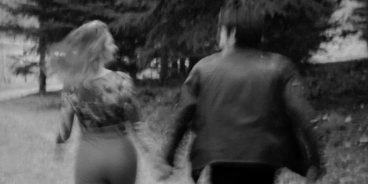 Bacan Serviced Apartments u Cavtatu: Recenzija smještaja koji osvaja goste 1 static photos 1774574066