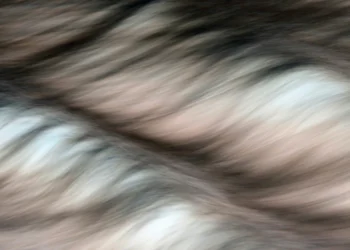 static photos 1774647546