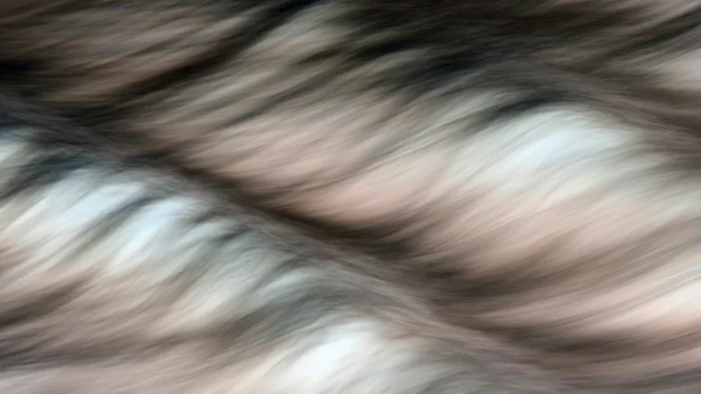 static photos 1774647546