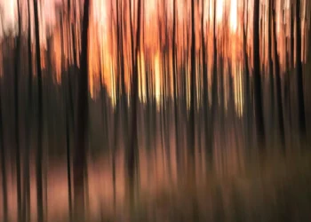 static photos 1774679689